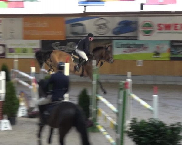 Reitturnier Keppeln - Reitanlage "Hötzenhof" 2021