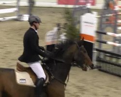 jumper Pius 38 (unknown, 2004)