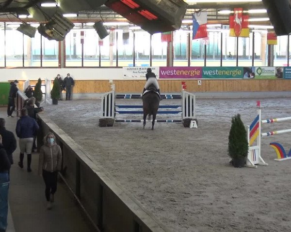 Reitturnier Keppeln - Reitanlage "Hötzenhof" 2021