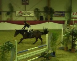 jumper Cash Gold (unknown, 2006)
