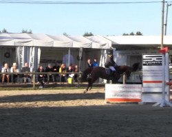 jumper She was robbed (Polish Warmblood, 2001)