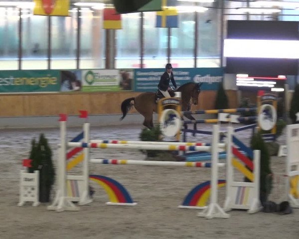 Reitturnier Keppeln - Reitanlage "Hötzenhof" 2021