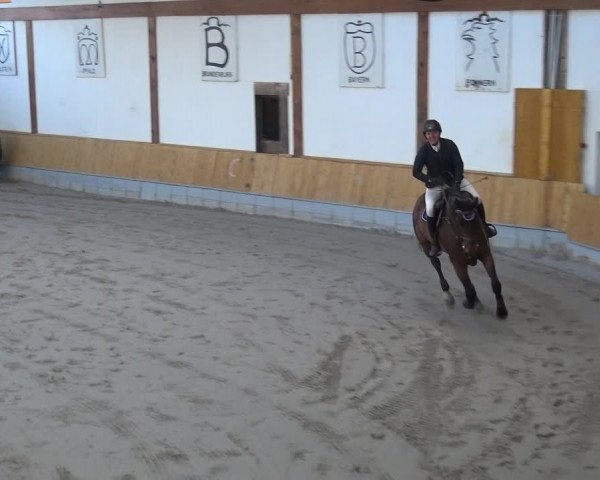 Reitturnier Keppeln - Reitanlage "Hötzenhof" 2021