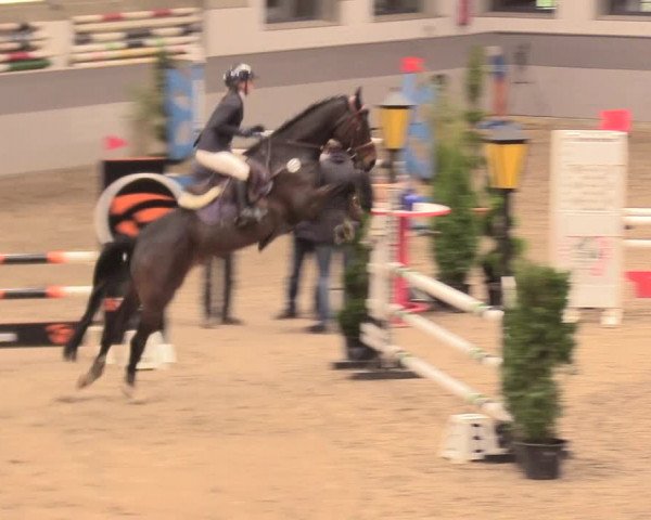 Reitturnier Luhmühlen 2021
