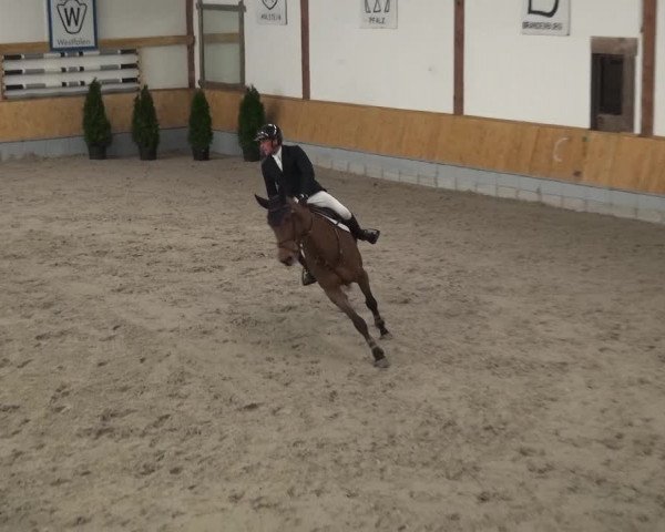 Reitturnier Keppeln - Reitanlage "Hötzenhof" 2021