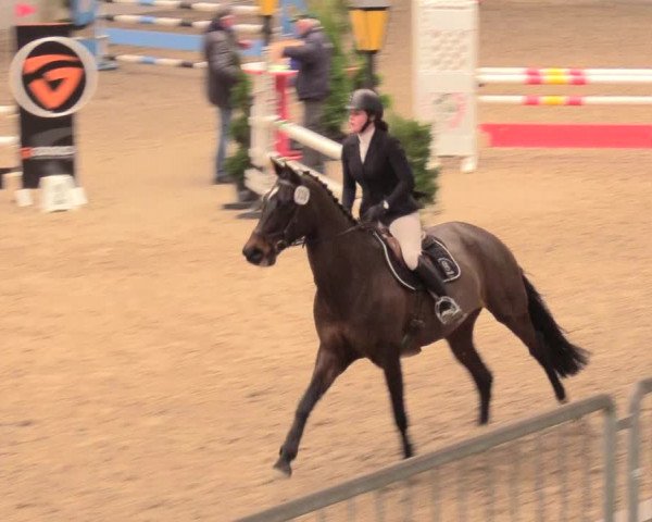 Reitturnier Luhmühlen 2021