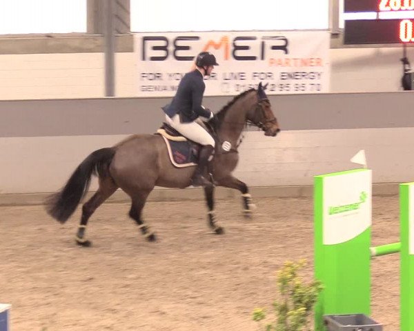 Reitturnier Luhmühlen 2021