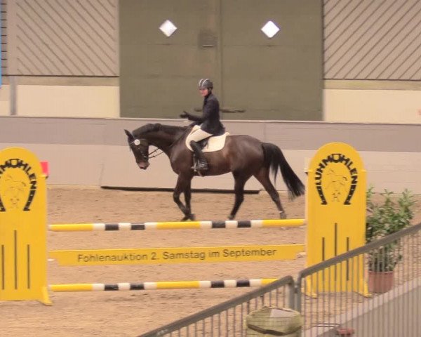 Reitturnier Luhmühlen 2021