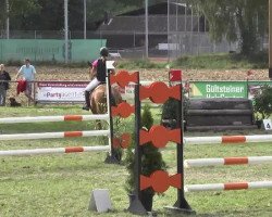 dressage horse Rakim 4 (unknown, 1995)