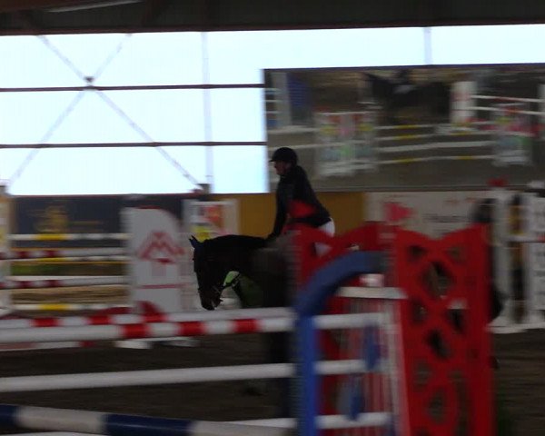Reitturnier Pausin 2021