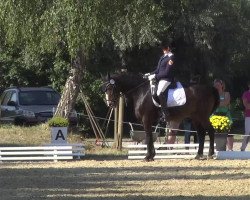dressage horse Flash 139 (unknown, 1999)