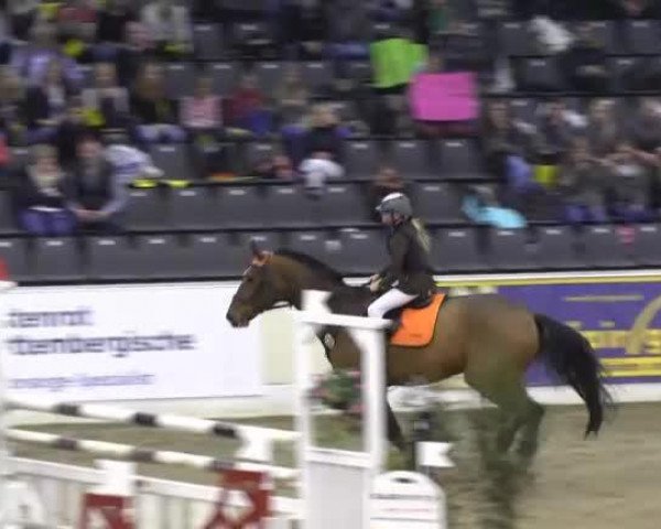 jumper Felix 350 (Sachse, 1995, from Frederik)