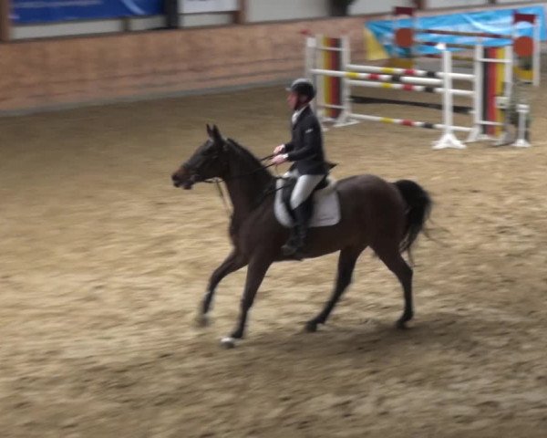 Reitturnier Gehrde - Klein Drehle 2021