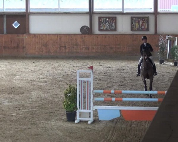 Reitturnier Gehrde - Klein Drehle 2021