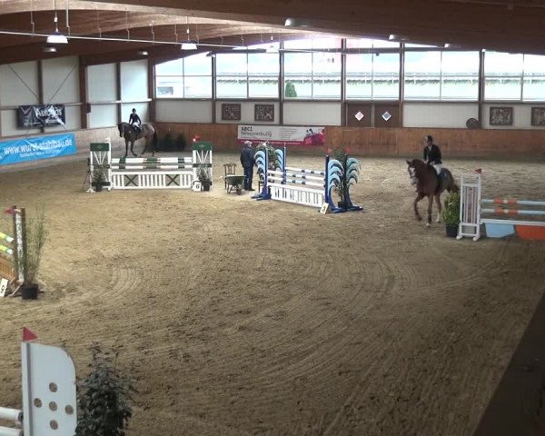 Reitturnier Gehrde - Klein Drehle 2021