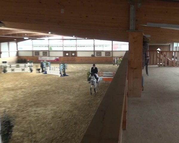 Reitturnier Gehrde - Klein Drehle 2021