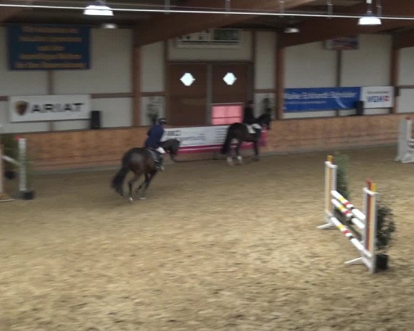 Reitturnier Gehrde - Klein Drehle 2021