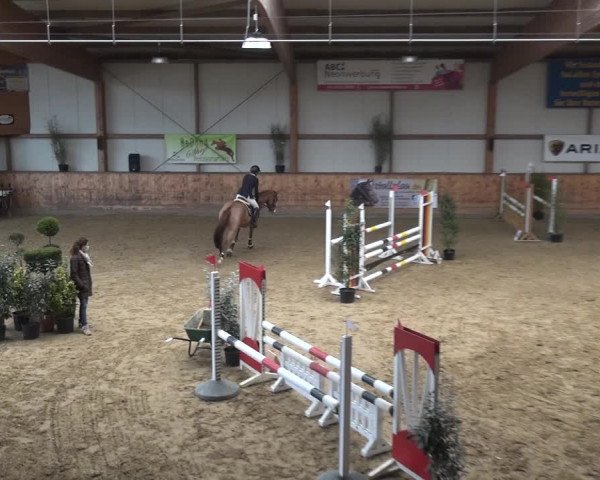 Reitturnier Gehrde - Klein Drehle 2021