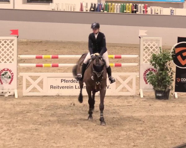 Reitturnier Luhmühlen 2021