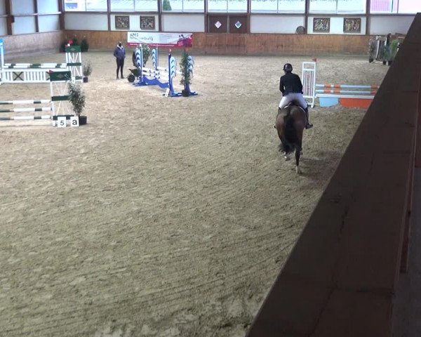 Reitturnier Gehrde - Klein Drehle 2021