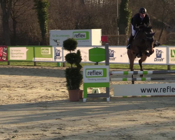 Reitturnier Münster-Handorf 2021