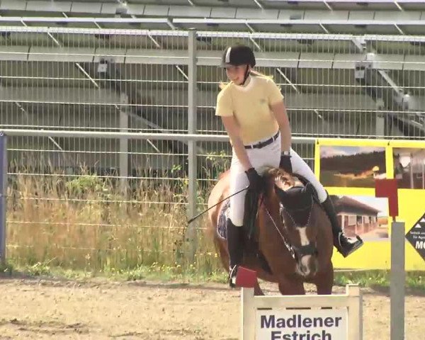 jumper Harry 75 (Württemberger, 1996, from Hyalit)