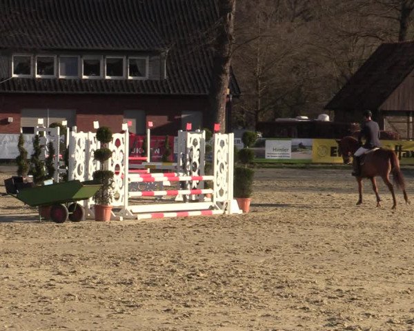 Reitturnier Münster-Handorf 2021
