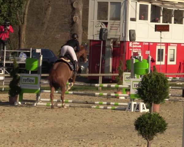 Reitturnier Münster-Handorf 2021