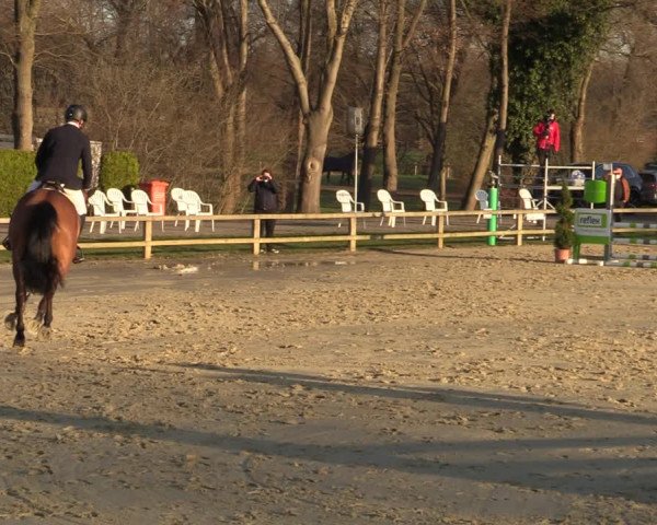 Reitturnier Münster-Handorf 2021