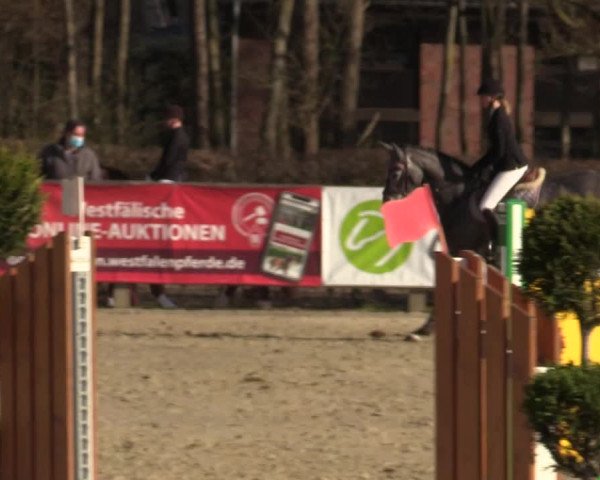 Reitturnier Münster-Handorf 2021
