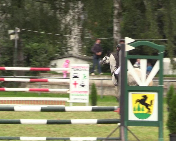 Reitturnier Altmittweida 2021