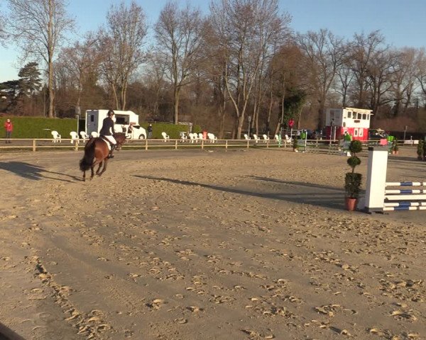 Reitturnier Münster-Handorf 2021