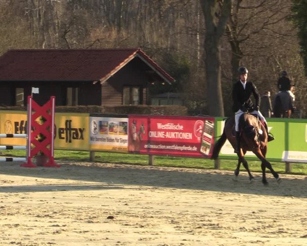 Reitturnier Münster-Handorf 2021