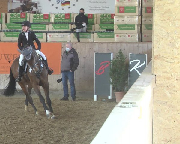 Reitturnier Gut Winkelacker/Obb. 2021
