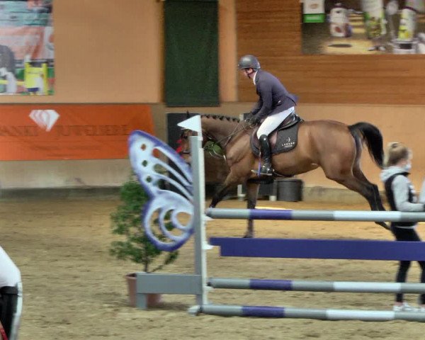 Reitturnier Gut Winkelacker/Obb. 2021