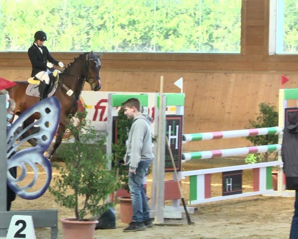 Reitturnier Gut Winkelacker/Obb. 2021