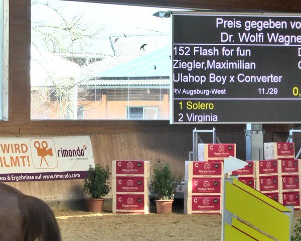 Reitturnier Gut Winkelacker/Obb. 2021