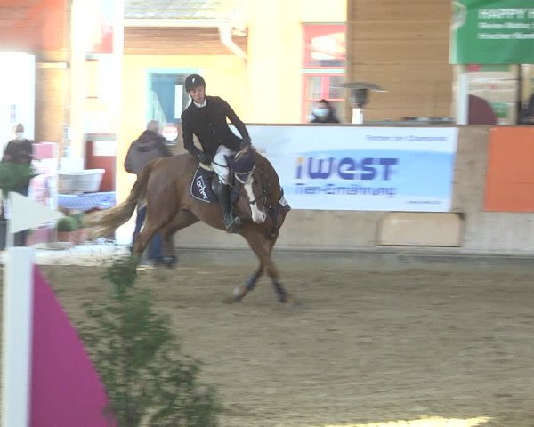 Reitturnier Gut Winkelacker/Obb. 2021
