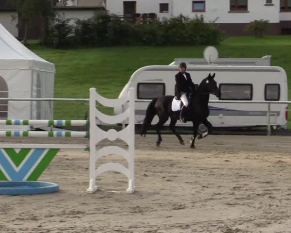 broodmare Arielle (Hessian Warmblood, 1995, from Anjou)