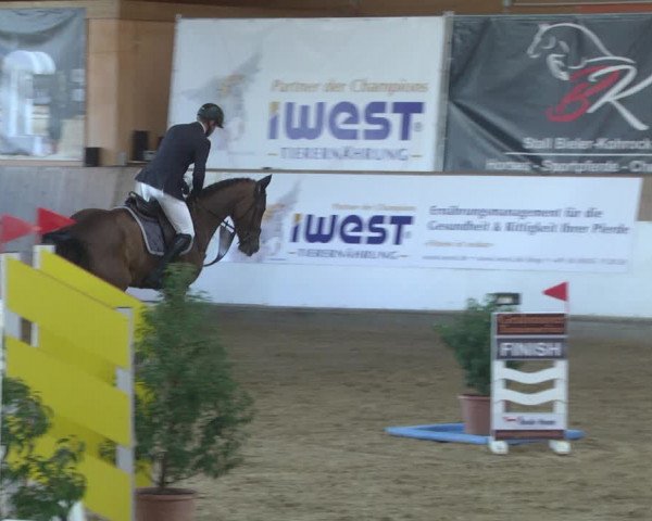 Reitturnier Gut Winkelacker/Obb. 2021