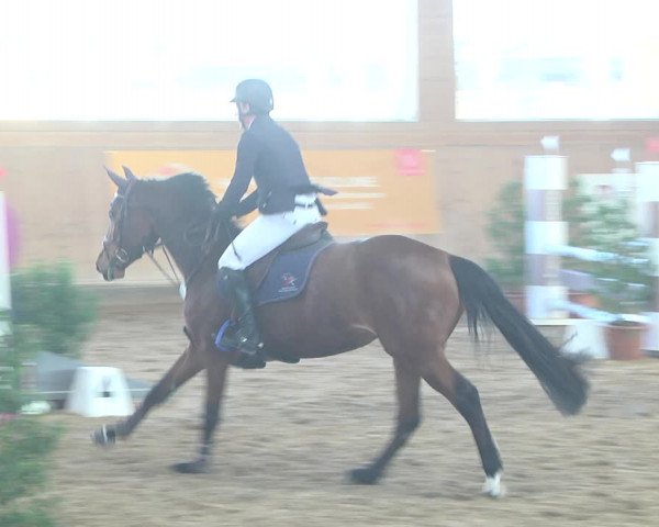 Reitturnier Gut Winkelacker/Obb. 2021