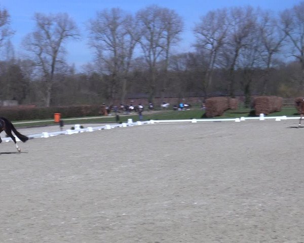 Reitturnier Münster-Handorf 2021
