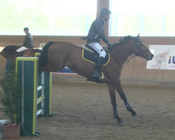 Reitturnier Gut Winkelacker/Obb. 2021
