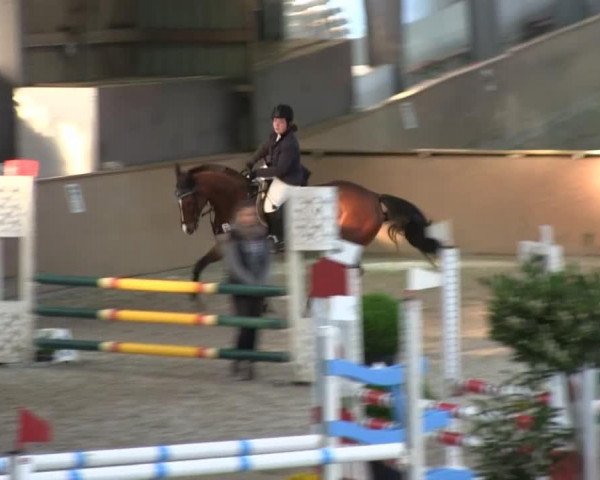 jumper Pepina 43 (Zweibrücken, 1997, from Parlando I)