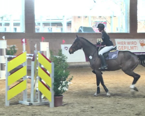 Reitturnier Gut Winkelacker/Obb. 2021