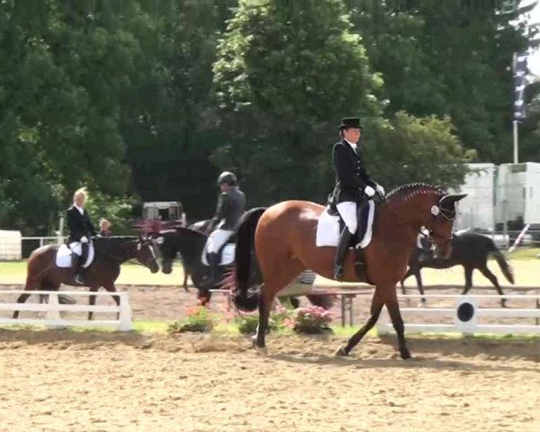 dressage horse Fabiola (Rhinelander, 1998, from Fidermark)