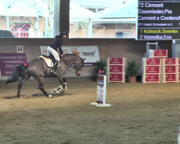 Reitturnier Gut Winkelacker/Obb. 2021