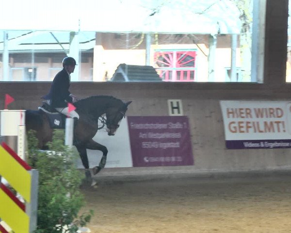 Reitturnier Gut Winkelacker/Obb. 2021