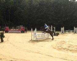 jumper Luciana 75 (Rhinelander, 1998, from Lancer II)