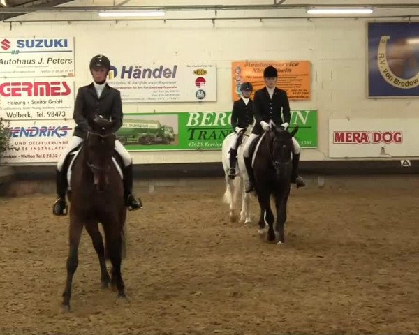 Dressurhest Lapus JH (Rhinelander, 1998, fra Lancer II)